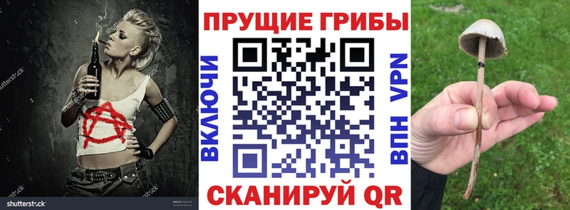 Купить где  Алупка  Галлюциногенные грибы мицелий 